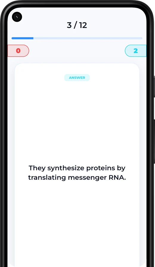 A flashcard in Kwezr showing the answer side, card 3 of 12